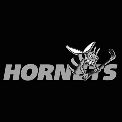 Hornets_mit_Text