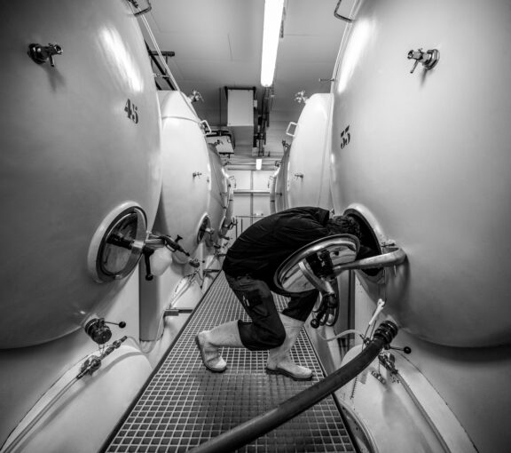 Brauerei-Felsenau-Bern-Bier-Beer-Bière-Kaufen-Bärner-Bärn-Kaufen-Müntschi-Berner-Header (73)
